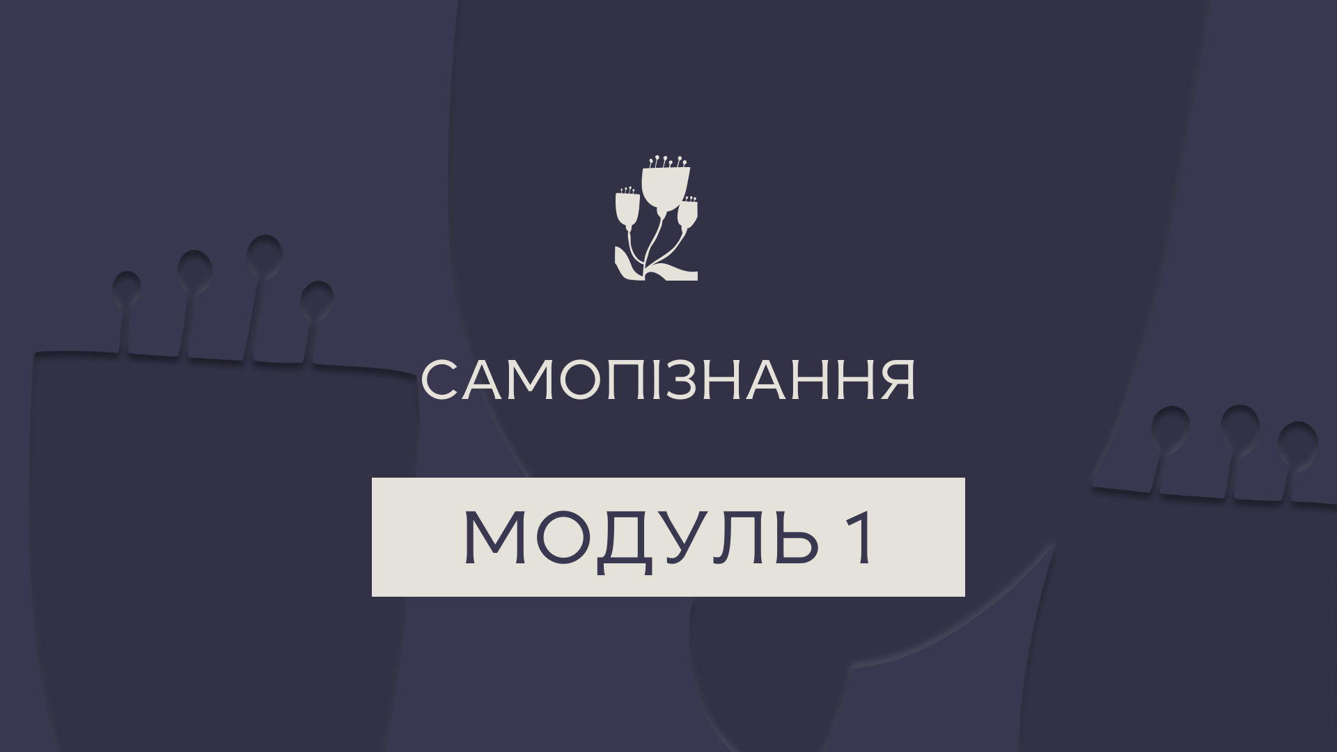 Превью відео модуля 1